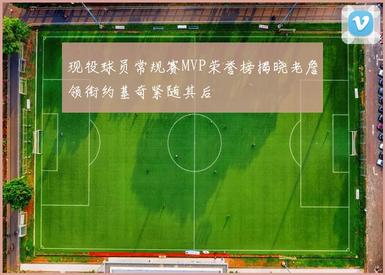现役球员常规赛MVP荣誉榜揭晓老詹领衔约基奇紧随其后
